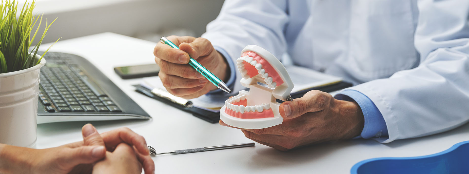 An image featuring a dentist examining a patient s teeth with a dental model, while seated at a desk with a laptop, in a professional setting.